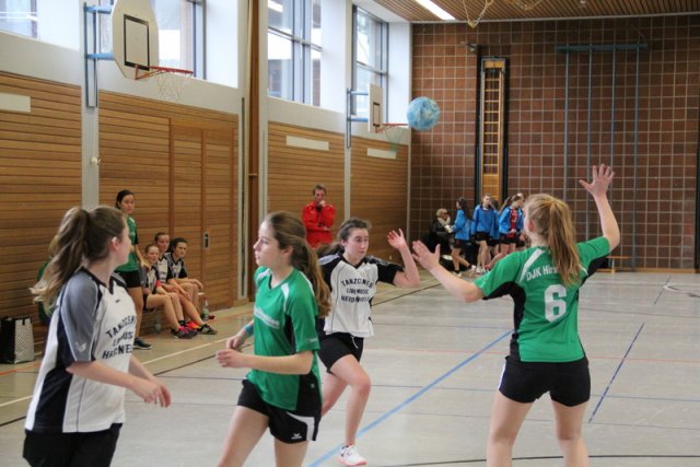 2017_02_19 Landesliga Frauen und Jugend 19